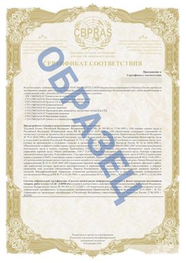 Образец Приложение к СТО 01.064.00220722.2-2020 Сатка Сертификат СТО 01.064.00220722.2-2020 